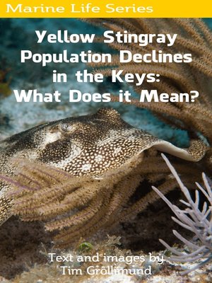 cover image of Yellow Stingray Population Declines in the Keys